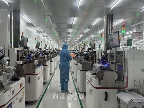 數字見證甜城內江 年產60億只產品，年入4億，營商環境為企業注入澎湃動能